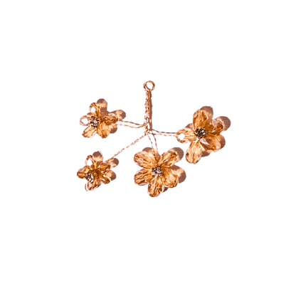 Charm