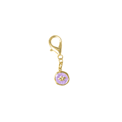 Charm — Purple fly coin