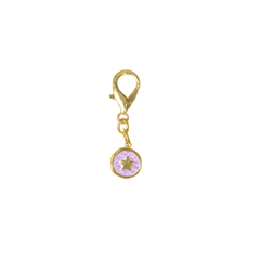 Charm — Purple Star Coin
