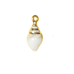 Charm — Shell 3