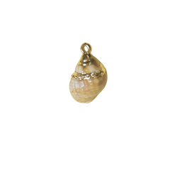 Charm — Shell 6