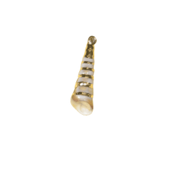 Charm — Shell 8